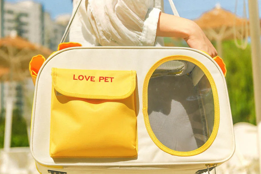 Compact Carrier for Small Pets